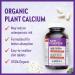 New Chapter Calcium Supplement - Bone Strength Organic Red Marine Algae Calcium - with Magnesium Vitamin D3+K2 70+ Trace Minerals for Bone Health Gluten Free Easy to Swallow - 180 Slim Tablets 180 count (Pack of 1) - Buy Online on GoSupps.com