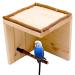Budgie sleeping house natural with perch for tamer birds | Great bird accessories for bird cage