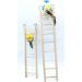 Wooden Climbing Ladder Toy for Parakeets, Parrots, Cockatoo - 2pcs, 6 Step & 8 Step - Buy Online on GoSupps.com