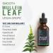 SafeFine Mullein Leaf Extract Drops - 60ml Alcohol-Free Vegan Formula for Respiratory & Immune Support, Natural Sleep Aid - Buy Online on GoSupps.com