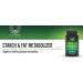 Ultimate Starch and Fat Metabolizer 90 vegetarian capsules White Kidney Bean Extract Green Tea Extract Chromium Gymnema Extract BioPerine Supports Healthy Glucose Metabolism - Buy Online on GoSupps.com