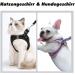 Shop Bright Pink Dog Harness & Puppy Tableware | Small Dog Dishes with Leash - Curli - Buy Online on GoSupps.com