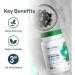Organika Spirulina 90 Tabs 90 count (Pack of 1) - Buy Online on GoSupps.com