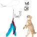 JIARON Cat Toys | 2PCS Retractable Wand and 10PCS Bell Refills | Interactive Teaser for Kitten or Cats - Buy Online on GoSupps.com