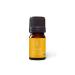 Aromatics International Premium Organic Larch Tamarack Essential Oil 5ml | 100% Pure Essential Oil for Diffusion & Aromatherapy Larch Tamarack 0.17 Fl Oz (Pack of 1)