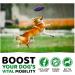 Glucosamine for Dogs - Buy Online on GoSupps.com
