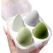 Premium Makeup Sponge Egg Latex-Free Makeup Puff Beauty Foundation Blend Sponge Wet and Dry Multifunctional Professional Makeup Tools Safe to Use on Your Skin Beauty Blender (Green)