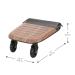 Evenflo Stroller Rider Board - Convenient Riding Option with Non-Skid Surface and Smooth-Ride Wheels - Holds up to 50 Pounds - Easy to Use - No Additional Parts Needed - Buy Online on GoSupps.com