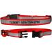 Personalized Reflective Cat Collar | Engraved Custom Collar with Name & Phone | Breakaway Safety Buckle | Adjustable for Cats - Blue - Buy Online on GoSupps.com