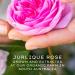 Jurlique Hydrating Mist Rosewater 3.3 oz - Nourishing Facial Spray - Buy Online on GoSupps.com
