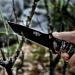 Mossy Oak 2-Piece Hunting Knife Set - Full Tang, Straight Edge and Gut Hook Blades, Game Processing Knife with Sheath - Buy Online on GoSupps.com