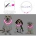 Coolzon LED Light Neck Band Dog Collar - Waterproof & Adjustable - 3 Modes Super Bright for Small to Large Dogs & Cats - Pink - Buy Online on GoSupps.com