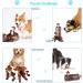 IFOYO Squeak Dog Toy - Durable Squirrel Hide and Seek Puzzle Plush Toy for Small/Medium Dogs - Buy Online on GoSupps.com