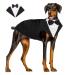 Dog Tuxedo Dog Wedding Outfit and Bandana Set Dog Tuxedo Costume Pet Clothes Puppy Formal Shirt with Removable Bow Tie Dog Suit For Small Medium Large Dogs Dog Outfit for Party Birthday Festival L(Chest:20.9-25.6" Body: 16.5") Black
