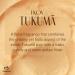 NATURA Ekos Tukum Replenishing & Exfoliating Bar Soap Set - Shop Internationally for Luxurious Skincare - Buy Online on GoSupps.com