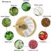 Th Minceur Beaut 14 Jours: Soutien Naturel La Gestion Du Poids Th Sant For Un Bien- tre Quotidien(2PCS) - Buy Online on GoSupps.com