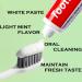 10 Tubes Bulk Travel Size Toothpaste - Mini 0.88oz Peppermint for Hotels Guests & Charity - Buy Online on GoSupps.com