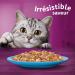 WHISKAS Cat Meals - 48 Fresh Sachets (Pack of 2 Packs 24x85g) - Favorite Fish (4 varieties) - Cat Pate - Buy Online on GoSupps.com