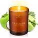 Citronella Stress Relief Candle - 8.5 oz | Natural Coconut Wax | Ideal Gifts for Men & Women | Summer & Yoga Relaxation - Buy Online on GoSupps.com
