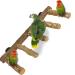 Qeeheng bird stand parrot seat rod natural wood bird seat rods toys bird cage accessories for small medium-sized parrots budgies aras love birds staggered