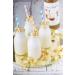 MONIN Premium Popcorn Syrup 700 ml - Delicious Popcorn Flavor (Pack of 1) - Buy Online on GoSupps.com