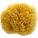ideelz XFO Sea Sponge (Medium 4.5) - All Natural Yellow Loofah Sponge for Bathing and Exfoliating | USA Grown - Buy Online on GoSupps.com
