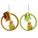 2 PCS Kuivoo Bird Swing Cotton Rope Ring Bird Parrot Perches for Cage Cage Hanging Bite Resistance Toys Bird Stand Soft Ring Bed for Budgie Cockatiel Canary Parakeet Love-bird Conures Medium