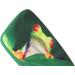 Amazonia Frog Hard Case with Soft Cover & Microfiber Cloth - International Shipping Available | Shop Now! - Buy Online on GoSupps.com