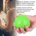 Spiky Massage Ball & Plastic Roller for Plantar Fasciitis | L-Green Fitness Tool for Trigger Point Relief - Buy Online on GoSupps.com