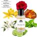 Monac - XERJOFFF Collection - Niche Inspired Perfume - Eau de Parfum - 90%-99% similar Long Lasting 8-15 hour (1.7/50ml) Premium Quality Ingredient (Tourino 23 Inspired by Torino 23 (u)) - Buy Online on GoSupps.com
