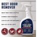 Rocco & Roxie Enzyme Pet Odor Eliminator & Carpet Stain Remover - Effective for Cat & Dog Urine - Buy Online on GoSupps.com