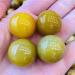 Natural gem Yellow Agate Agate Ball Crystal Ball Reiki Ball Home Decor Full of Texture (Size : 4pc) - Buy Online on GoSupps.com