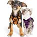 Breakproof Cat Leash Set & Adjustable Soft Vest for Kittens - Reflective Stripes & Purple Dishes (Small) - Buy Online on GoSupps.com