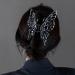 Women Hair Claw 2pcs Exquisite Butterfly Hair Claw Clip Elegant Hair Styling Clip Nonslip Ponytail Clip Trendy Headwear style2 - Buy Online on GoSupps.com