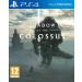 Noname Shadow of the Colossus