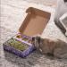 Sweet Meadow Farm Bunny Bento Box - Papaya & Marigold