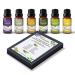 100% Pure Aromatherapy Essential Oils Diffuser fragrances Gift Set Including Lavender Eucalyptus Tea Tree Rosemary Lemongrass and Peppermint. 6 x10 mL