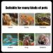 Reptile Feeding Tool Set - Cleaning Clamp Tweezers & Spatula for Hamsters Snakes Turtles & More | Essential Care for Small Animals - Buy Online on GoSupps.com