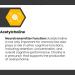 Cognisync Nootropic Brain Health Supplement 60ct | Cognitive Enhancement with Lion's Mane & Alpha-GPC | Memory & Brain Fog Support | 12 Powerful Ingredients - Buy Online on GoSupps.com