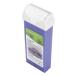 Hair Removal Wax 100g Depilatory Wax Professional Roller Depilatory Wax Home Hair Removal Wax Roller (1)