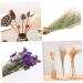 HOMSFOU 30 Pcs Decor Natural Dried Flowers Artificial Flower Wheat As Shownx2pcs mediumx2pcs - Buy Online on GoSupps.com