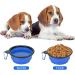 Collapsible Dog Bowl & Portable Cat Water Bowl - 350ml Blue - Travel-Friendly with Carabiner - Buy Online on GoSupps.com