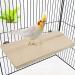 2PCS Bird Platform Flat Wooden Stand Pet Platform Climbing Platform Bird Cage Accessories for Small Animals Parakeets Budgies Chinchilla Hamster Rat Mouse Parrot Flat Platform - Buy Online on GoSupps.com