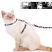 Supet cat dishes with a line-safe adjustable cat dishes for large and small cats slightly kitten dishes kitten cat leash and dishes set for walking (black M) m (chest size: 28-48cm) black