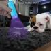 Leagy 2-Pack Mini UV Flashlight - 9 LEDs Pet Urine Detector for Dogs & Cats Detects Stains Banknotes & Bed Bugs (Blue) - International Shipping Available - Buy Online on GoSupps.com