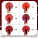 Honey Joy Wine Red Dip Powder Set - 6 Boxes Dark Barn Red Fine Dipping Colors - No Lamp Cure Gel Polish Effect - Even & Smooth Finish - Buy Online on GoSupps.com