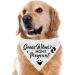 Pregnancy Announcement Dog Bandana Set for Dog Lovers - Gender Reveal Photo Prop and Pet Scarf Decorations - Pack of 2 - Buy Online on GoSupps.com