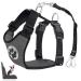 Eyin dog harness with seat belt for car 2 carabin hooks-combined with seat belt buckle child safety seat or trunk adjustable breathable dishes (gray XS) gray XS