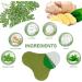 ACWOO 48PCS Natural Wormwood Pain Relief Patch for Neck/Knee/Back - Long Lasting Herbal Plaster for Arthritis & Joint Pain - Buy Online on GoSupps.com