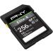 PNY 256GB Elite-X Class 10 U3 V30 SDXC Memory Card - 100MB/s, 4K UHD & Full HD, UHS-I, Full Size SD - Buy Online on GoSupps.com